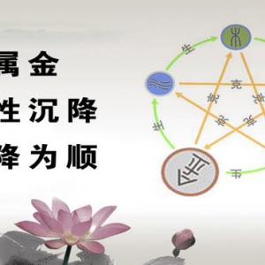《养生堂》20130924视频:杨道文讲咳嗽 气机上逆的症状 宣肺气 吃生姜的好处