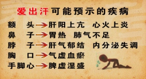 《养生堂》20130925视频:杨道文讲出汗到底好不好 出汗预示的疾病 肺气虚的表现 花参老鸭汤