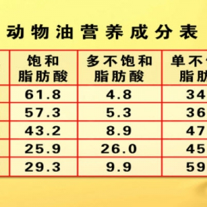 《养生堂》20130427视频:于康讲吃油带来的健康问题 动物油营养成分表 不值得推荐的植物油