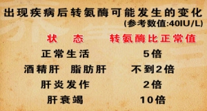 《养生堂》20130420视频:魏来讲疾病后转氨酶发生的变化 三七和土三七的区别 药物性肝损伤