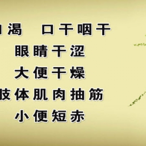 《养生堂》20130416视频:叶京英讲津液丢失 津液亏损自测 腿抽筋 中芍药甘草汤
