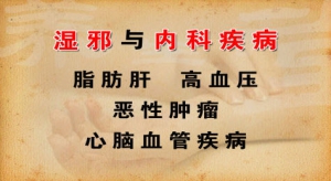 《养生堂》20130412视频:刘景源 刘宁讲湿邪与内科疾病的关系 湿邪饮食及用药禁忌 三仁汤