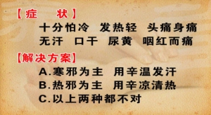 《养生堂》20130411视频:刘景源 刘宁讲什么是寒包火 什么是辛平表散法
