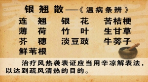 《养生堂》20130410视频:刘景源 刘宁讲辛凉解表与辛温解表的区别 风热袭表证
