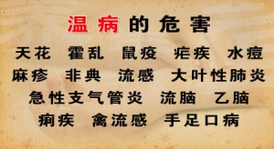 《养生堂》20130409视频:刘景源 刘宁讲温病的危害 温病的预防 辛温解表法 表寒证的症状 辛 ...