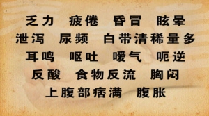 《养生堂》20130406视频:傅延龄讲气机升降失常的症状 桔梗的药用功效 生姜降胃气