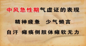 《养生堂》20130927视频高颖讲中风的高危因素、脑中风的先兆、益气化瘀汤、复元通络液