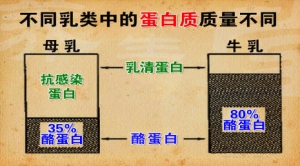 《养生堂》20130930视频:戴耀华 王山米讲什么是初乳、母乳喂养的好处、母乳喂养的窍门