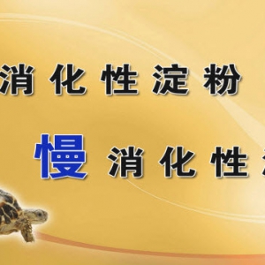 《养生堂》20131001视频:于康讲易发胖的食物有哪些、什么是一口效应