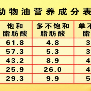 《养生堂》20131003视频:于康讲如何摄取饱和脂肪酸才健康、好脂肪、坏脂肪、烟点