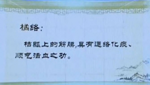 《健康之路》20131004陈勇视频:陈皮入药、橘络、橘核、橘子酱、白果、大枣、归脾汤