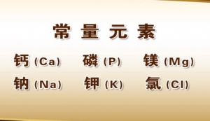 《养生堂》20131005视频:于康讲补钙的重要性、常量元素、微量元素、酸奶的食用法则