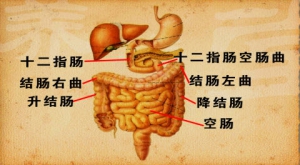 《养生堂》20130328视频:赵荣莱,翟兴红讲腹胀是什么原因引起、气实型的腹胀常见症状、气湿 ...
