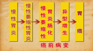 《养生堂》20130327视频:赵荣莱 翟兴红讲什么是胃胀、胃痞的特点、胃痞证的症状、脾胃湿热 ...