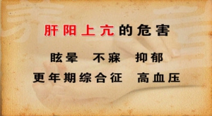 《养生堂》20130321视频:王素梅讲肝阳上亢的危害、造成肝阳上亢体质的原因、肝阳上亢体质  ...