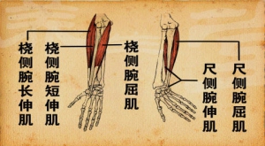 《养生堂》20130318视频和笔记:李方祥讲