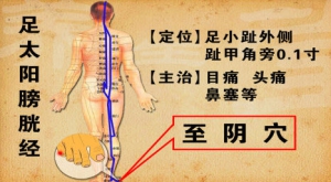 《养生堂》20131007视频和笔记:庞承泽讲介绍视力下降的原因、曹氏经穴按摩的特色