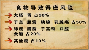 《养生堂》20130314视频:李忠讲癌症食疗、破解失衡的癌状态（4）