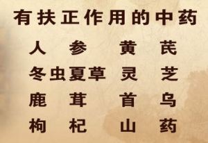 《养生堂》20130313视频:李忠讲抗癌防癌、膏药的功能、适应症、禁忌、注意事项