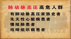 《养生堂》20130303视频:王辰讲肺动脉高压症状、肺动脉高压的高危人群及自测、肺动脉高压  ...
