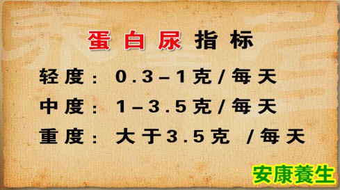 蛋白尿的指标
