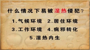 《养生堂》20130220视频:冯兴华讲湿热邪气和气候的关系、湿邪和风湿病的关系、风湿病的舌  ...