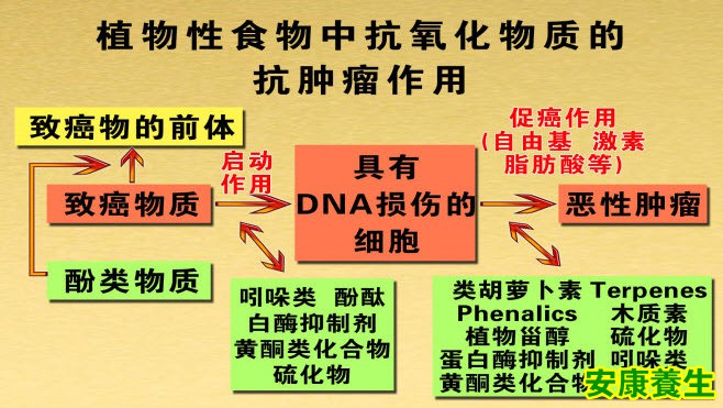 蔬菜抗癌