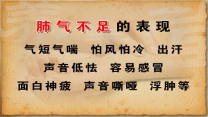 《养生堂》20130206视频:高荣林,饶向荣讲调养肺气的方法、肺气不足的明显特征、调肺饮的组 ...