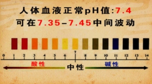 《养生堂》20131010视频:陈嘉林讲酸碱体质、酸中毒常见症状、 碱中毒、素食对酸碱的影响