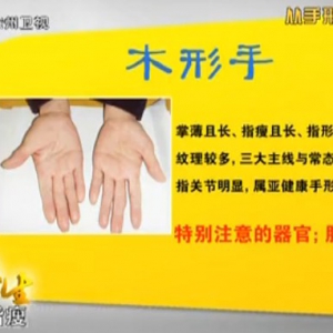 20130911贵州卫视养生视频和笔记：高振宗讲不同的手形看出身体器官的疾病并讲解了对症 ...