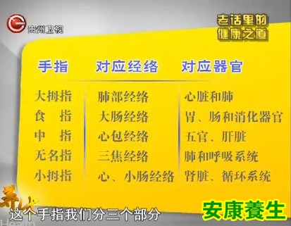 手指