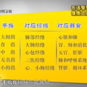 贵州卫视20130822养生视频:王凤岐 吴大真讲手指对应的人体经络、三餐的正确吃法