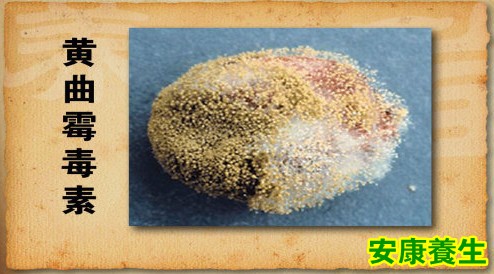 黄曲霉毒素