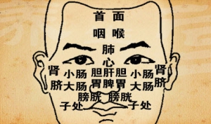 《养生堂》20131016视频:张广中讲皮肤出现异常与内脏疾病的关系、老年斑的危险、七白膏的  ...