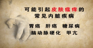《养生堂》20131017视频:张广中讲皮肤瘙痒的常见内脏疾病、润泽全身皮肤、楮桃叶水剂的制  ...