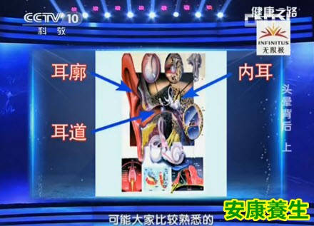 前庭敏感