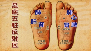 《养生堂》20131019视频:张广中讲如何保护足部、足底五脏反射区、杵状指的危害、手足皲裂