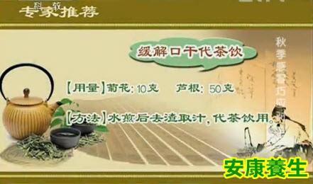 菊花芦根饮