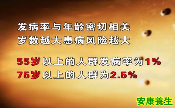 黑质