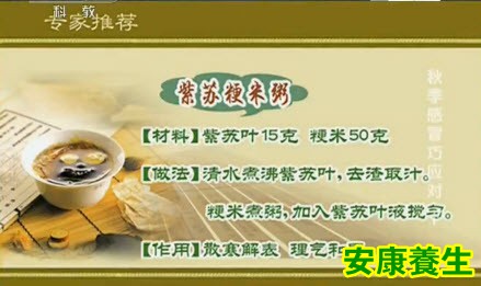 紫苏粳米粥的材料和做法