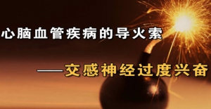 《养生堂》20131021视频:杨杰孚讲心脑血管疾病的诱因、交感神经兴奋导致疾病的抑制方法