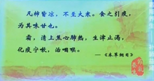 《健康之路》20131023视频:罗卫芳讲霜降养生、补肾气的方法、泡脚能补肾吗、哪种食物平喘  ...