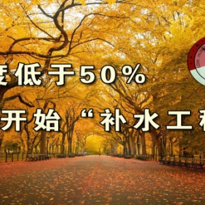 《养生堂》20131024视频:孙树侠 于仁文讲秋季该如何补水、大麦茶的功效、如何锁水、胶原蛋 ...