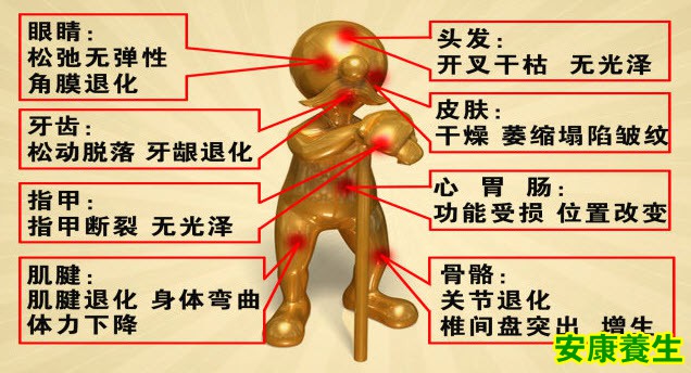 胶原蛋白
