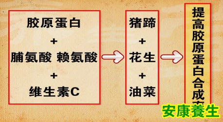 胶原蛋白