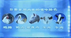 《健康之路》20131024视频:陈伟讲痛风患者食用的肉类、怎么吃烤肉、海鲜、降低嘌呤的烹饪  ...