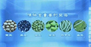 《健康之路》20131025视频:陈伟讲痛风患者的主食、哪种调料最易诱发痛风、豆类嘌呤含量