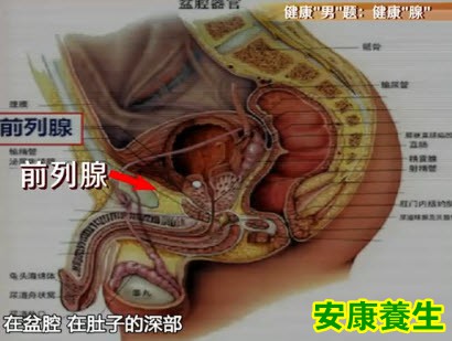 前列腺