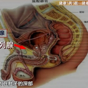健康有道20131028视频:刘春晓讲前列腺炎的特征、预防前列腺炎、前列腺增生的表现