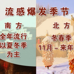 《养生堂》20131105视频:刘清泉讲流感与感冒的区别、对抗风寒的药物有哪些